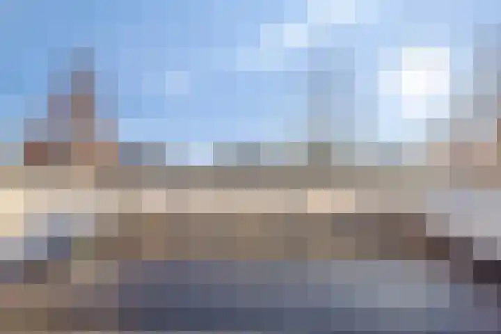 Morel 22 Elst thumbnail 36
