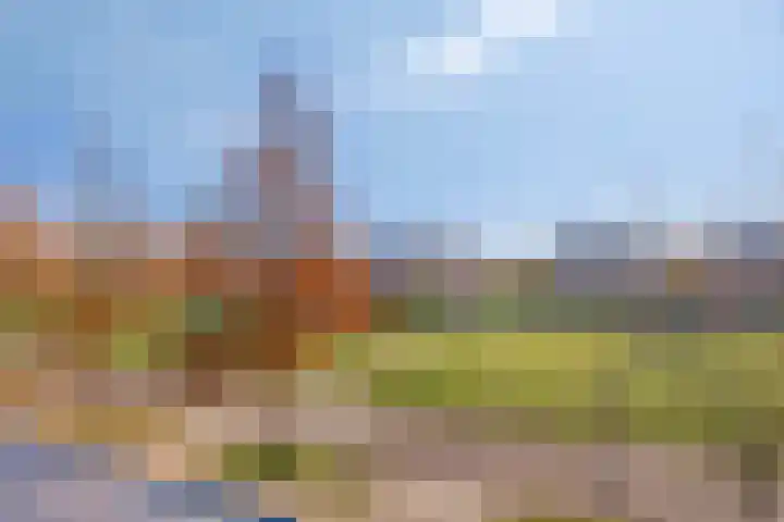 Morel 22 Elst thumbnail 37