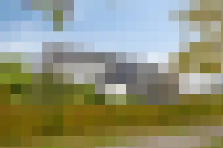 Morel 22 Elst thumbnail 4