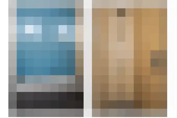 Morel 22 Elst thumbnail 41