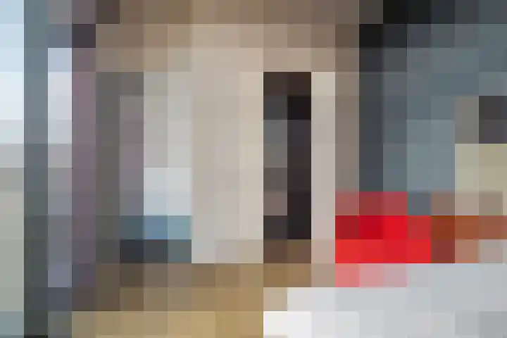 Morel 22 Elst thumbnail 45