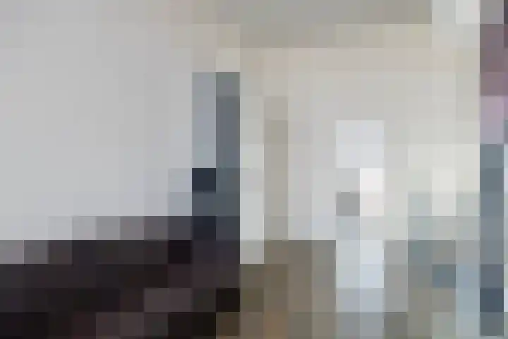 Morel 22 Elst thumbnail 47