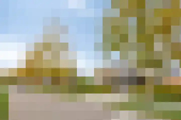 Morel 22 Elst thumbnail 49