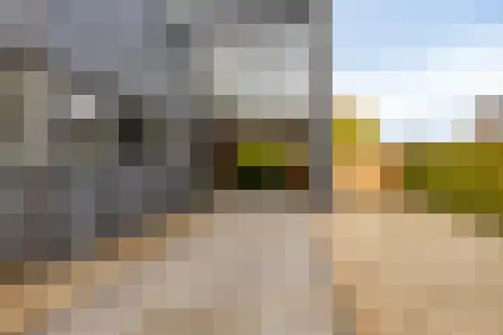 Morel 22 Elst thumbnail 5