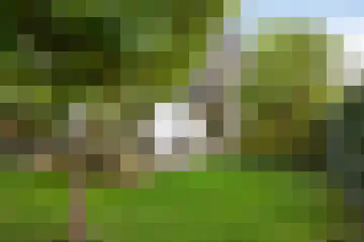 Morel 22 Elst thumbnail 54