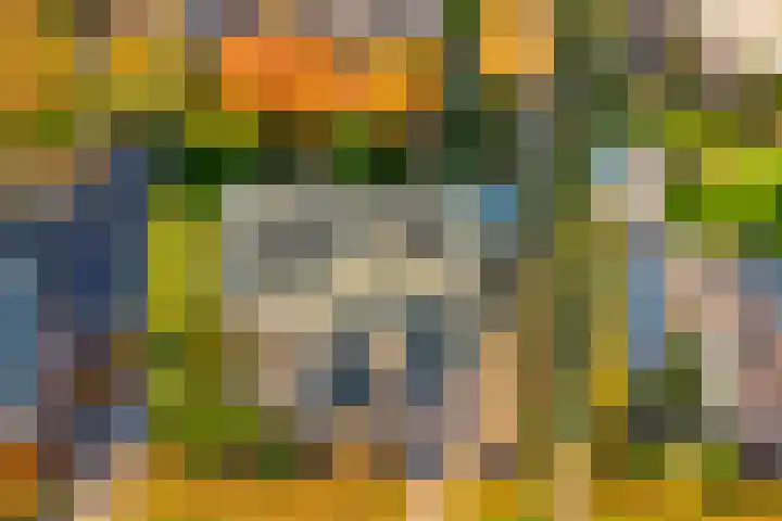 Morel 22 Elst thumbnail 56
