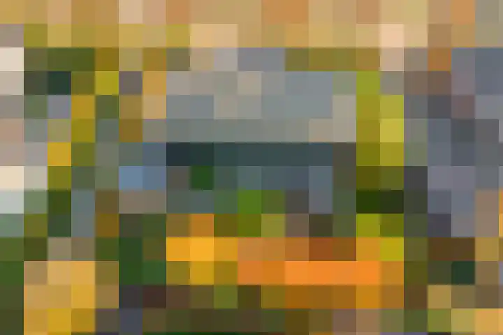 Morel 22 Elst thumbnail 57