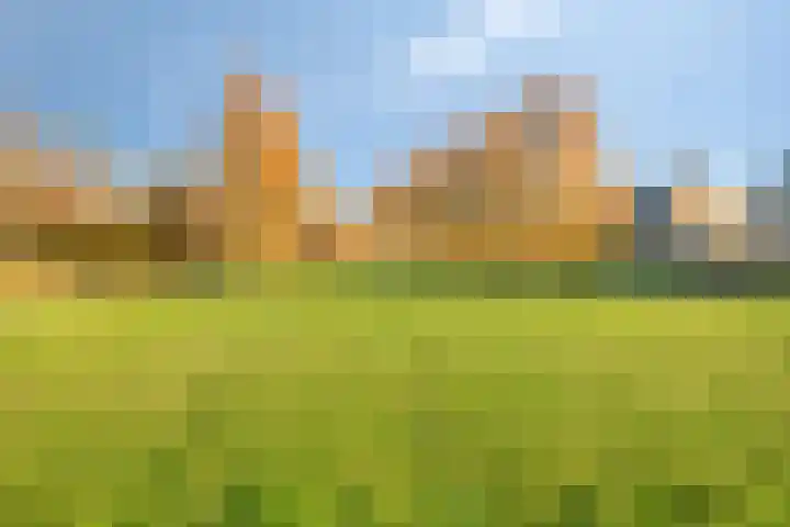 Morel 22 Elst thumbnail 59
