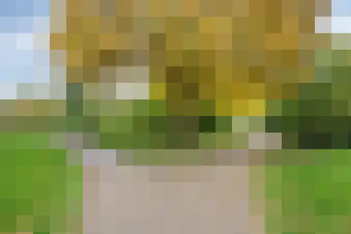 Morel 22 Elst thumbnail 60