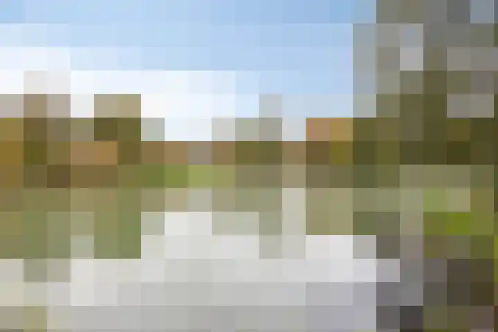Morel 22 Elst thumbnail 61