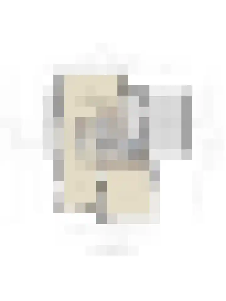 Morel 22 Elst thumbnail 62
