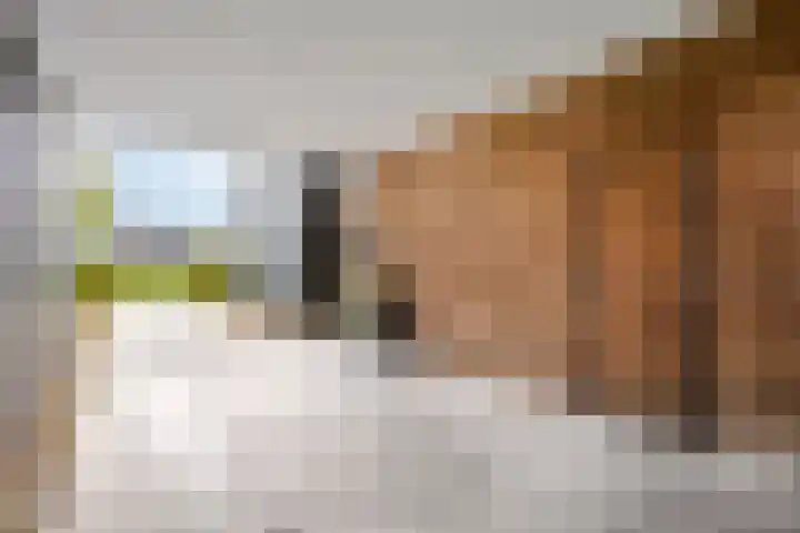 Morel 22 Elst thumbnail 7