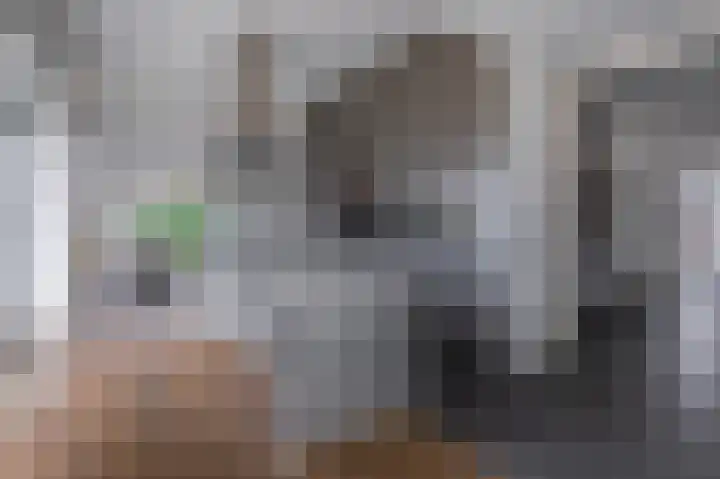 Morel 22 Elst thumbnail 9