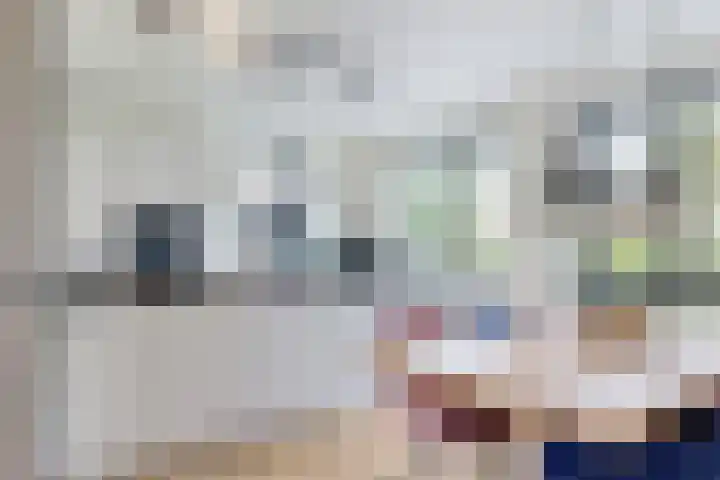 Morel 4 b Elst thumbnail 12