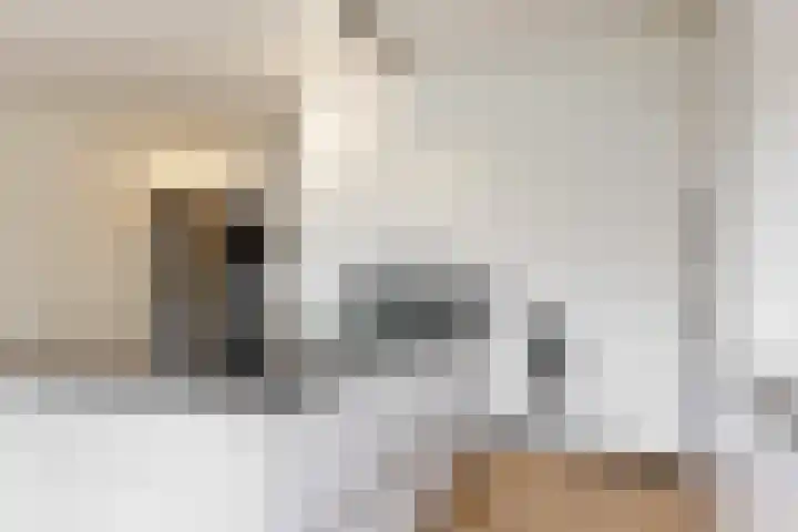 Morel 4 b Elst thumbnail 15