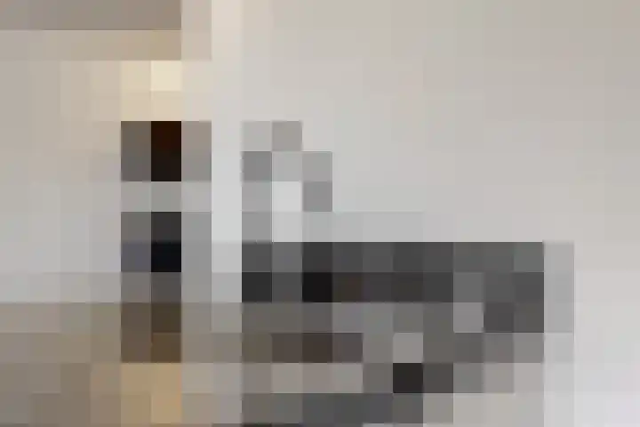 Morel 4 b Elst thumbnail 16