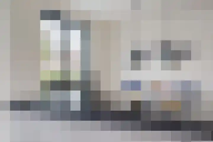 Morel 4 b Elst thumbnail 17