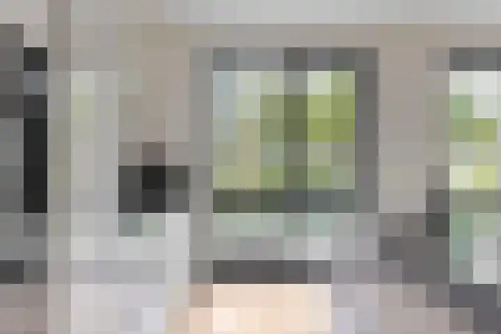 Morel 4 b Elst thumbnail 18