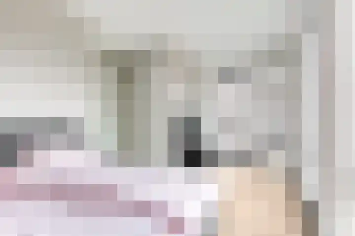 Morel 4 b Elst thumbnail 22
