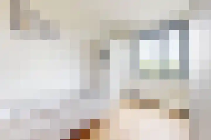 Morel 4 b Elst thumbnail 23