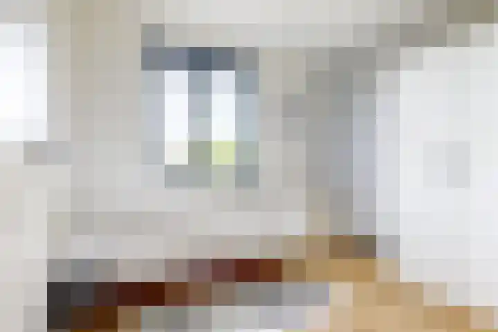 Morel 4 b Elst thumbnail 25
