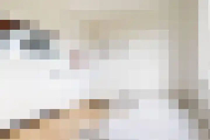 Morel 4 b Elst thumbnail 26