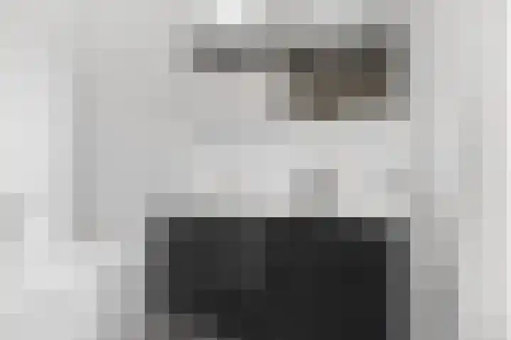 Morel 4 b Elst thumbnail 28