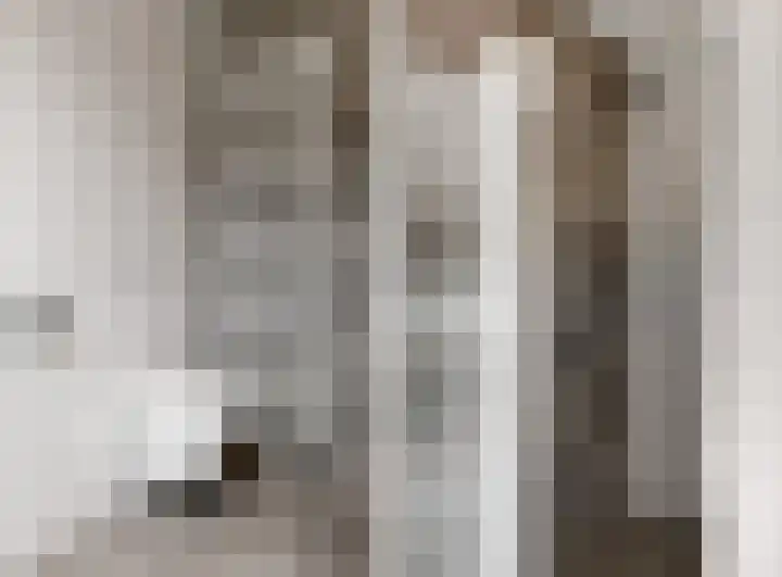 Morel 4 b Elst thumbnail 29