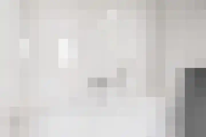 Morel 4 b Elst thumbnail 30