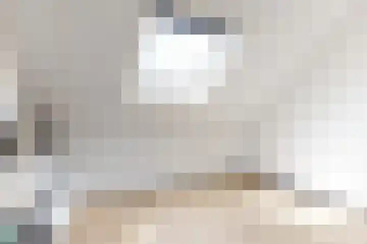 Morel 4 b Elst thumbnail 32