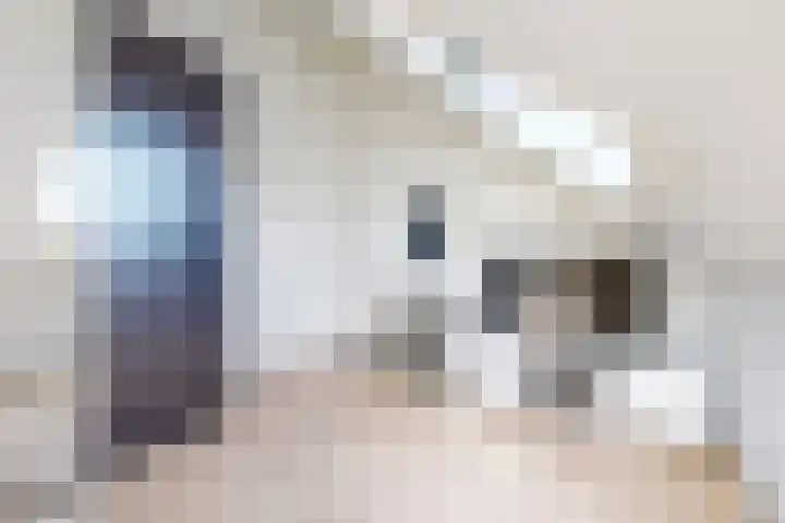 Morel 4 b Elst thumbnail 33