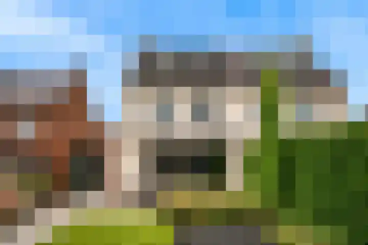 Morel 4 b Elst thumbnail 37