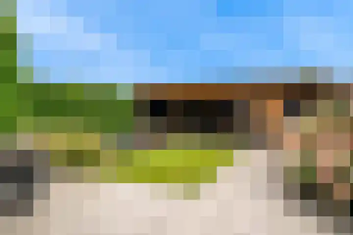Morel 4 b Elst thumbnail 38