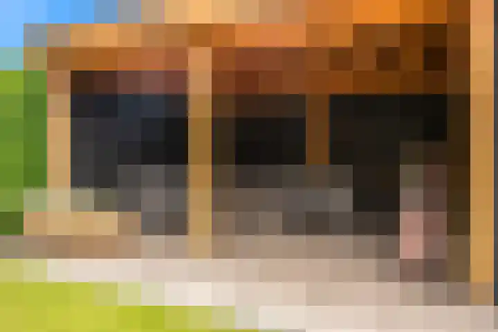 Morel 4 b Elst thumbnail 39