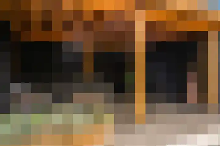 Morel 4 b Elst thumbnail 40