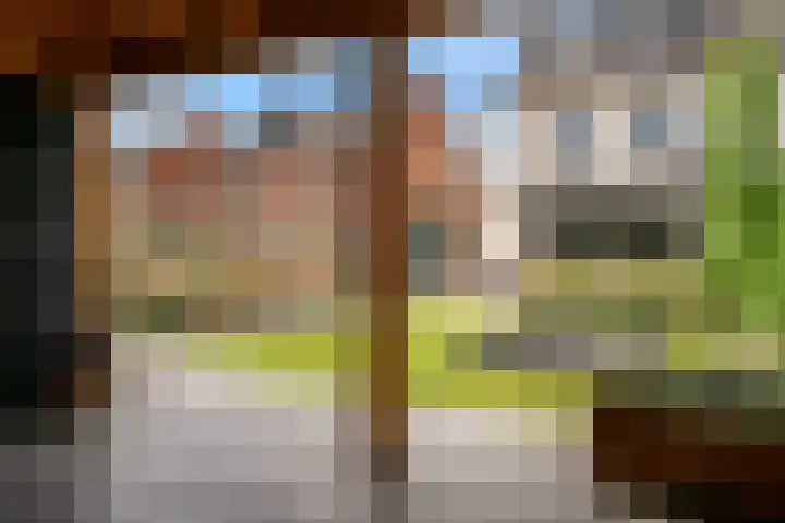 Morel 4 b Elst thumbnail 41
