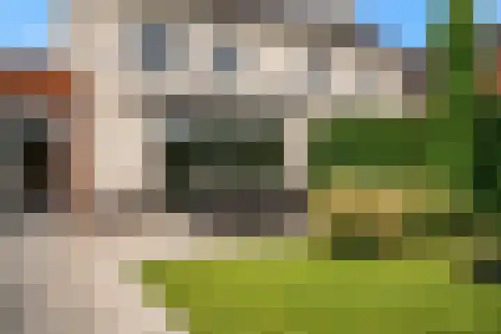 Morel 4 b Elst thumbnail 42
