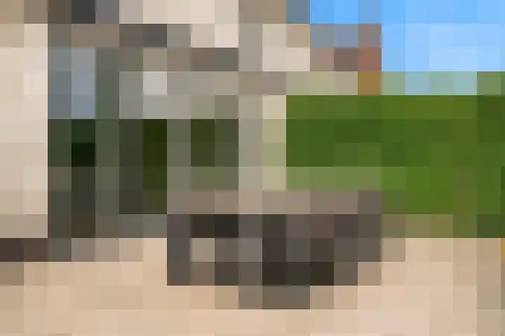 Morel 4 b Elst thumbnail 43