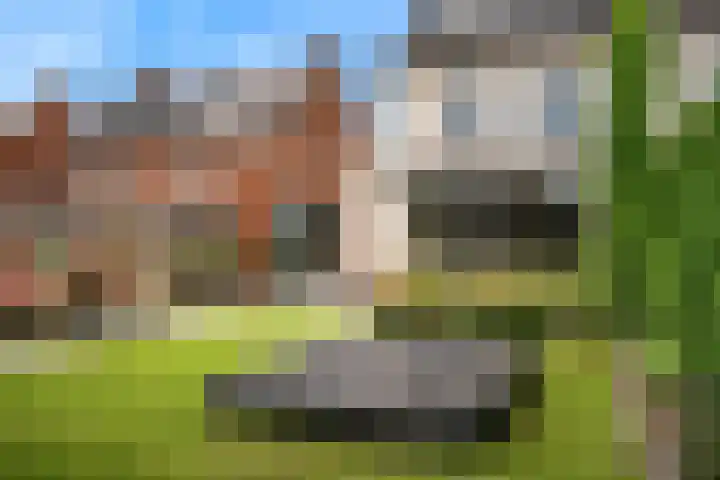 Morel 4 b Elst thumbnail 44