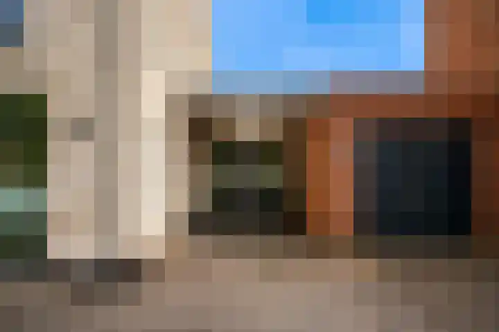 Morel 4 b Elst thumbnail 45