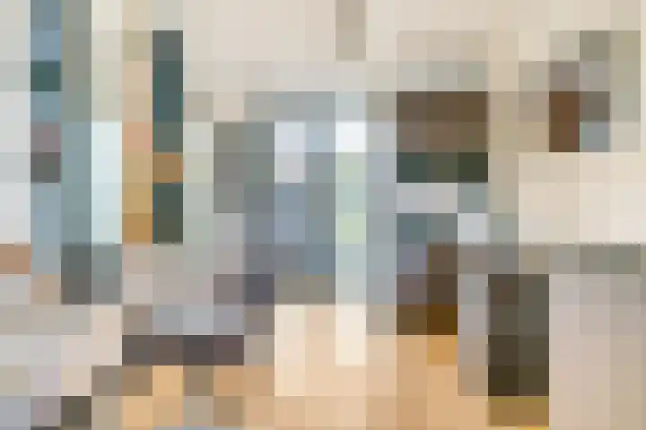 Morel 4 b Elst thumbnail 46