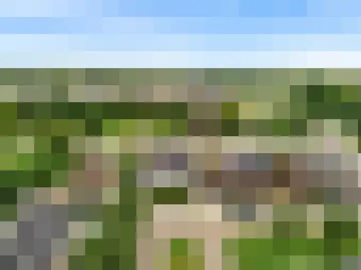Morel 4 b Elst thumbnail 49