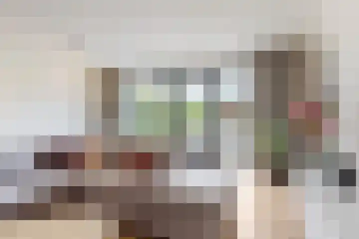 Morel 4 b Elst thumbnail 5
