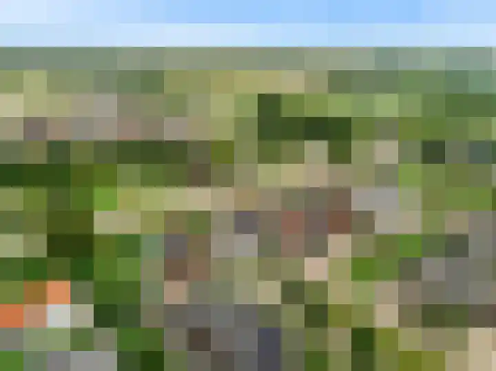 Morel 4 b Elst thumbnail 50