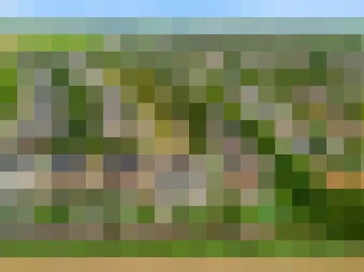 Morel 4 b Elst thumbnail 52