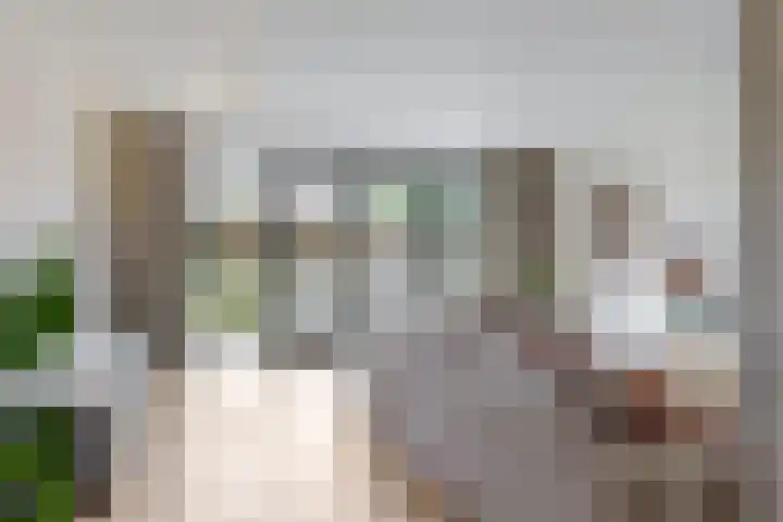 Morel 4 b Elst thumbnail 6
