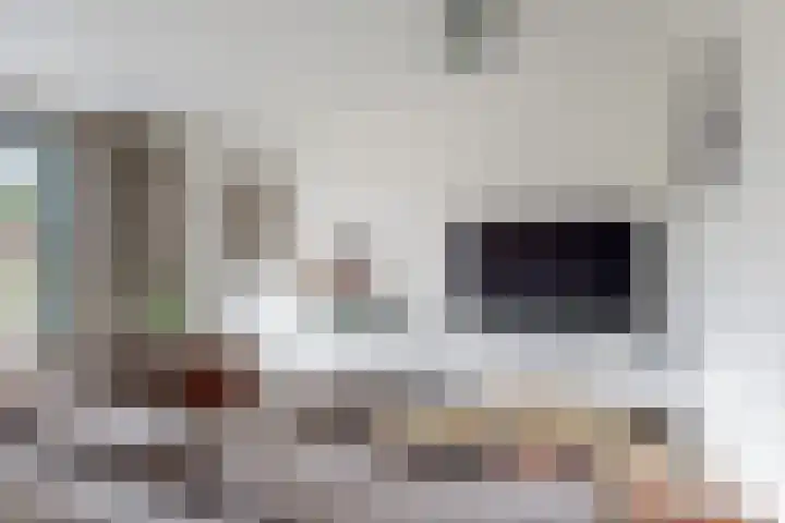 Morel 4 b Elst thumbnail 7