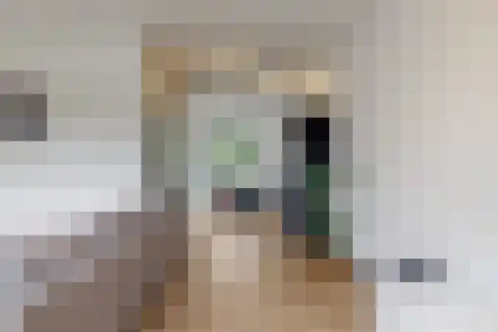 Morel 4 b Elst thumbnail 8