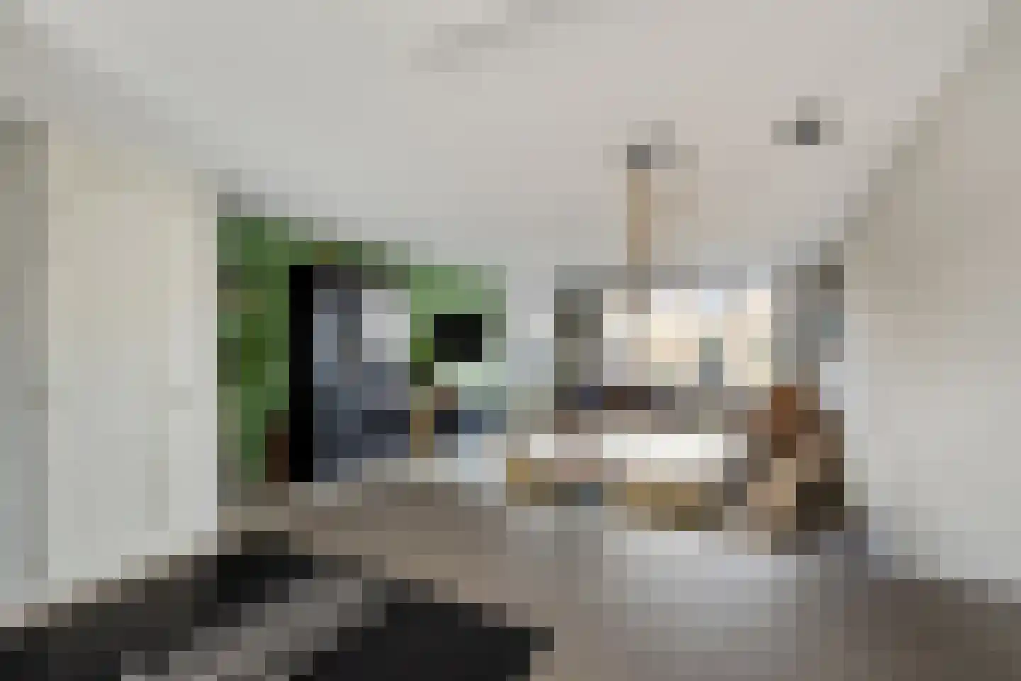 Morel 40 Uden thumbnail 10