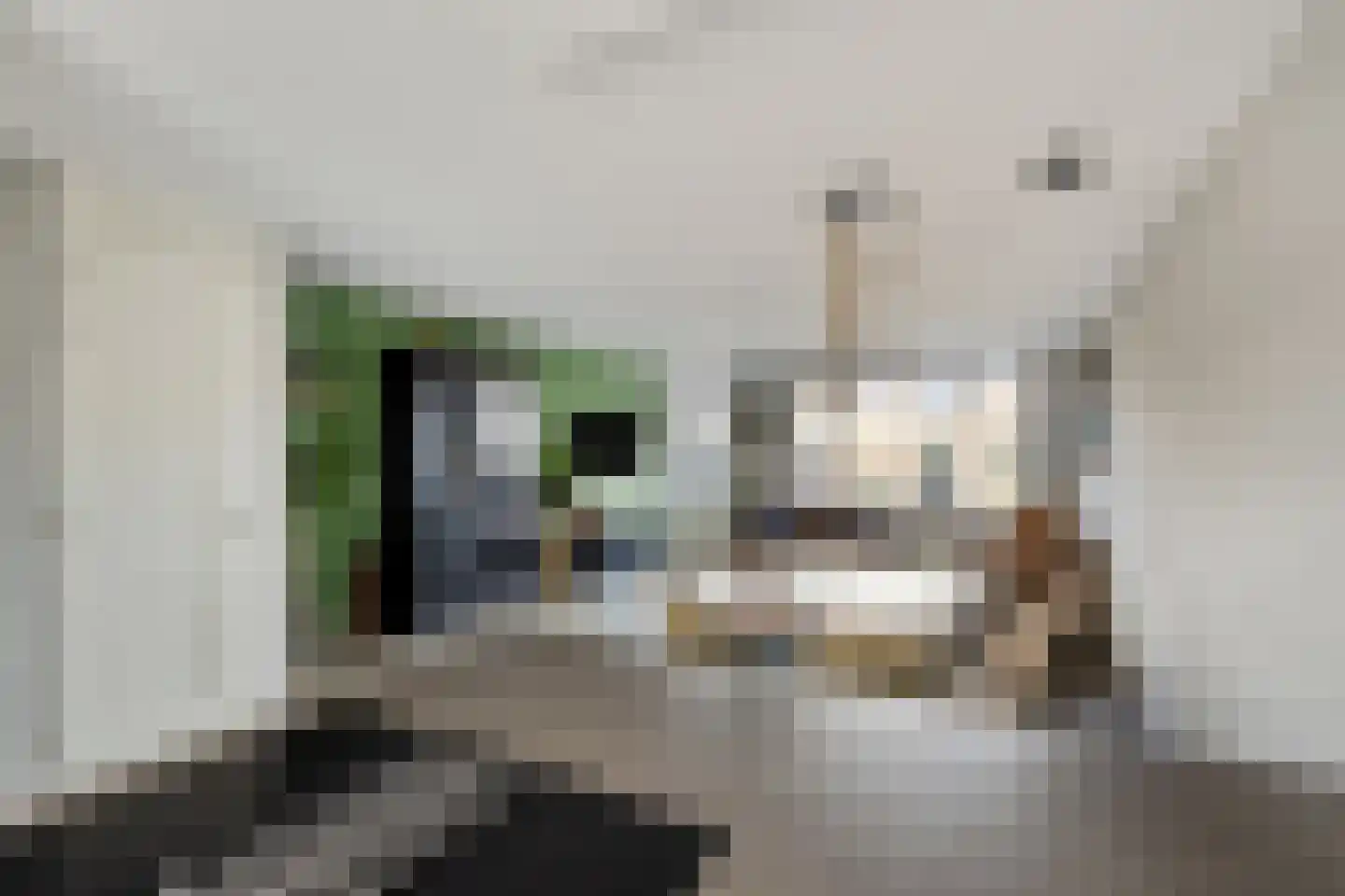 Morel 40 Uden thumbnail 10